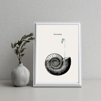 Framed artwork with a black and white illustration of a shell on a light gray wall.